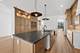 2214 W Oakdale, Chicago, IL 60618