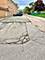 6561 N Harlem Unit 3E, Chicago, IL 60631