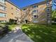 6114 N Damen Unit 1A, Chicago, IL 60659
