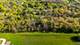 1001 N Hunt Club, Gurnee, IL 60031