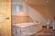 338 S Oak Park Unit C, Oak Park, IL 60302