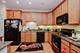 4953 Oakton Unit 203, Skokie, IL 60077