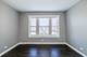 1301 S Christiana, Chicago, IL 60623