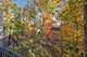 130 Maple Hill, Glencoe, IL 60022