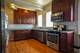 3927 Kirk Unit 2, Skokie, IL 60076