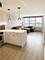 88 W Schiller Unit 1107L, Chicago, IL 60610
