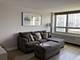88 W Schiller Unit 1107L, Chicago, IL 60610