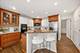 301 Willow, Geneva, IL 60134