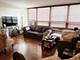 3950 N Lake Shore Unit 509B, Chicago, IL 60613