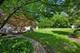 1419 E Forest, Wheaton, IL 60187