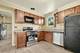 273 Mohawk, Park Forest, IL 60466