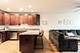 321 W Schiller, Chicago, IL 60610