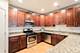 321 W Schiller, Chicago, IL 60610