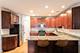 321 W Schiller, Chicago, IL 60610