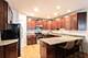 321 W Schiller, Chicago, IL 60610