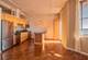 500 S Clinton Unit 731, Chicago, IL 60607