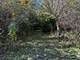 23976 W Beach Grove, Antioch, IL 60002