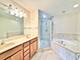 930 Case, Naperville, IL 60563