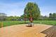 6731 Estate, Long Grove, IL 60060