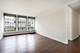 1451 E 55th Unit 620N, Chicago, IL 60615