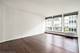 1451 E 55th Unit 620N, Chicago, IL 60615