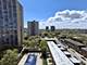 2605 S Indiana Unit 1208, Chicago, IL 60616