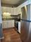 2605 S Indiana Unit 1208, Chicago, IL 60616