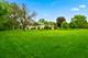 1107 Valley, Lockport, IL 60441