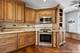 23028 Pilcher, Plainfield, IL 60544