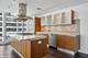 340 E Randolph Unit 500, Chicago, IL 60601