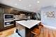 1029 N Honore, Chicago, IL 60622