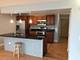 3115 S Michigan Unit 101, Chicago, IL 60616