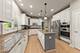 26407 Silverleaf, Plainfield, IL 60585