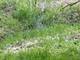 17 E Lyncliff, Oswego, IL 60543