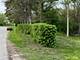 17 E Lyncliff, Oswego, IL 60543