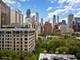 1310 N Ritchie Unit 11C, Chicago, IL 60610
