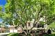 418 S Na Wa Ta, Mount Prospect, IL 60056