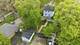 1318 N Jackson, Waukegan, IL 60085