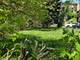 5545 S Wood, Chicago, IL 60636