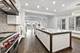 458 W Deming, Chicago, IL 60614