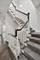 458 W Deming, Chicago, IL 60614
