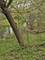 38581 N Hillandale, Spring Grove, IL 60081