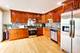 1113 S Birch, Mount Prospect, IL 60056