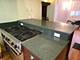 548 W Brompton Unit 1E, Chicago, IL 60657