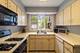 745 Greenview, Lake Forest, IL 60045