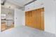 1307 S Wabash Unit 507, Chicago, IL 60605