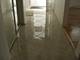9038 Hollyberry, Des Plaines, IL 60016