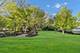 532 Webster, Batavia, IL 60510