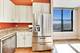 1101 S State Unit 1307, Chicago, IL 60605