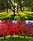 23378 N Apple Hill, Lincolnshire, IL 60069